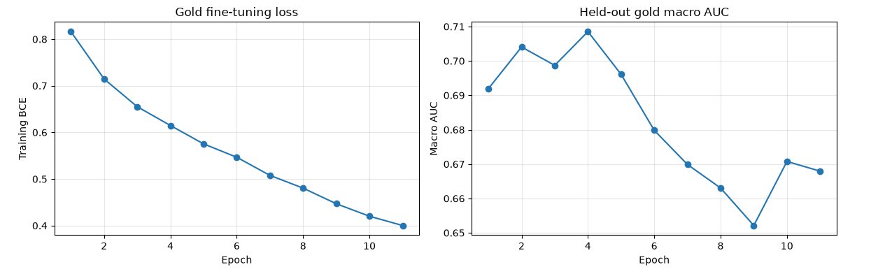 Plots of gold fine-tuning loss and held-out gold macro AUC across epochs